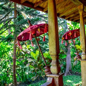 Holiday park Swasti Eco